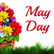 May Day Blooms For Your Dear Ones!