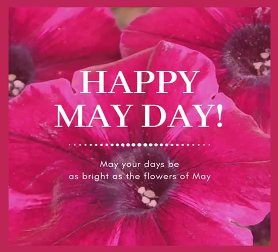 Beautiful Happy May Day Ecard Free May Day eCards, Greeting Cards | 123 ...