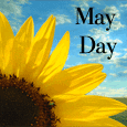 Bright May Day Wishes.