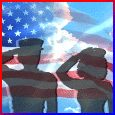 Saluting Those Who Protect Our Country...
