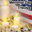 A Tribute To America&apos;s Brave Hearts.