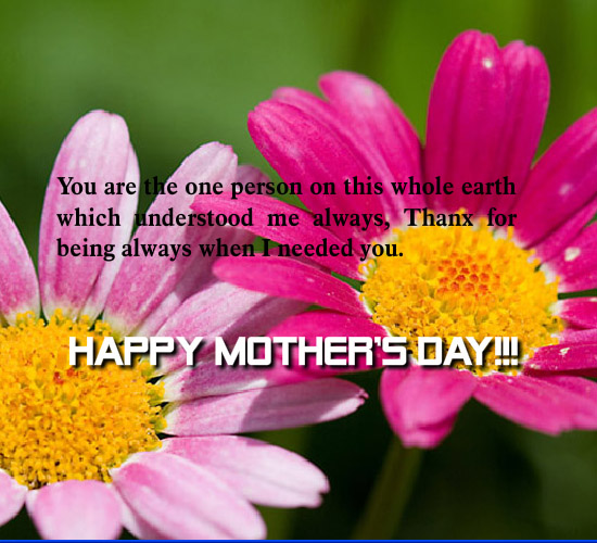 Floral Wish For A Special Mom! Free Flowers eCards, Greeting Cards ...