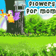 Flower's For Your Mom!