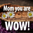 Loving Moms.