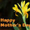 Wishing You A Very Happy Mother%92s Day.