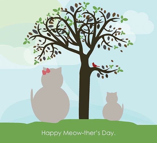 Happy Mother’s Day Cat!