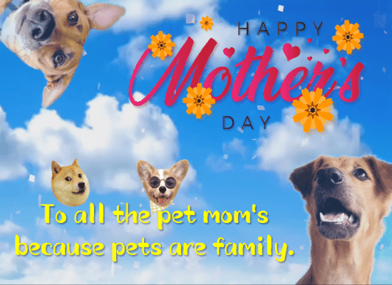 To All The Pet Mom’s...