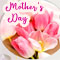 Special Wishes For Sweetest Mom!