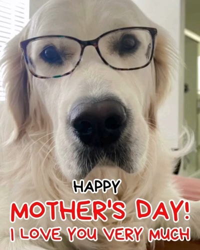 Celebrate Mom With Love