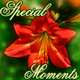 Special Mother&apos;s Day Moments!