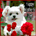 Cute Puppy Wishing Mother’s Day.