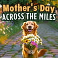 Mother&rsquo;S Day Wish From Across...