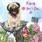 Happy Mother%92s Day, I Woof You!