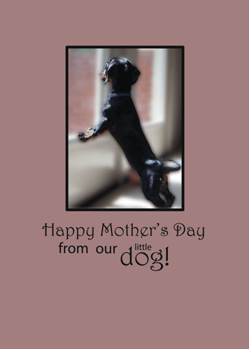 Thank You Mother From A Loving Dog.