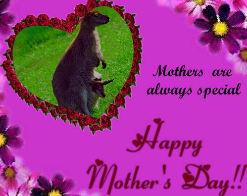 Mothers Are Always Special. Free Special Moms eCards, Greeting Cards ...