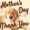 Simple Thank You Ecard On Mother%92s Day.