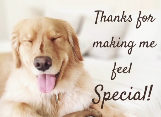 Simple Thank You Ecard On Mothers Day