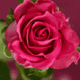 Thanks For Making My Day So Special.