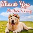 Appreciate All The Mothers Day Love