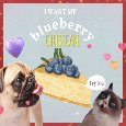 I Want My Blueberry Cheesecake!