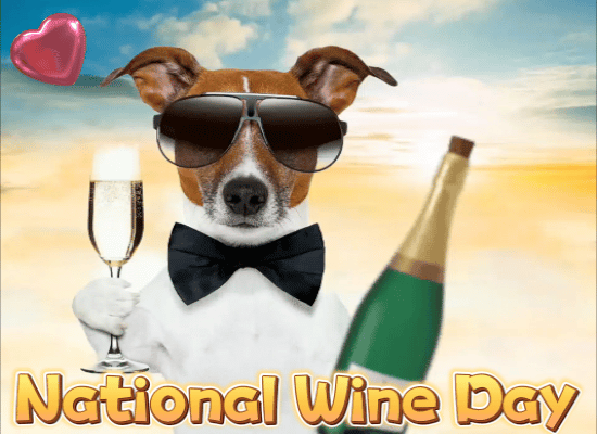 A Nice Wine Day Message Card For You