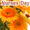 Appreciate A Nurse With Flowers.