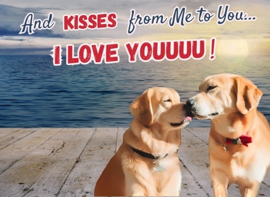 Online Romance Week Wish For Your Love
