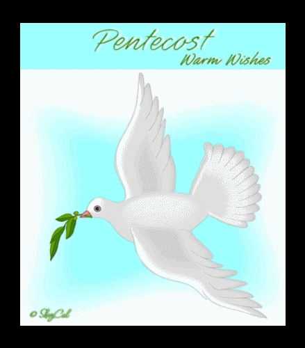 Pentecost Dove.