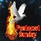 Happy Pentecost Sunday.