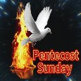 Happy Pentecost Sunday.