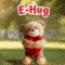 E-Hug Just For You.