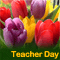 Happy Teacher Day Greetings.
