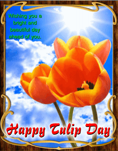A Beautiful Tulip Day!
