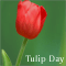 Warm Wishes On Tulip Day.