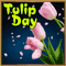 A Nice Tulip Day Card For A...