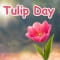 Tulip Day Bloom For A Dear One