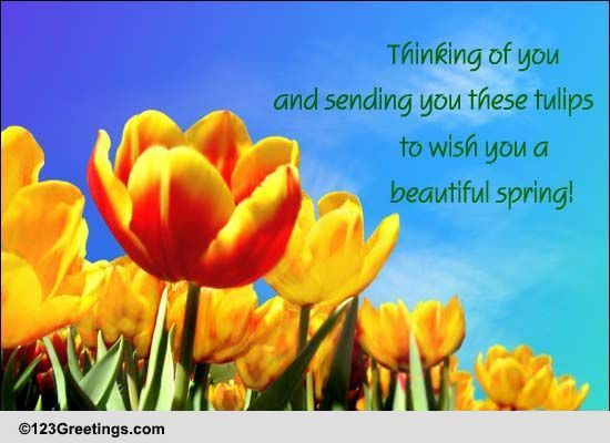 Thinking Of You... Free Tulip Day eCards, Greeting Cards | 123 Greetings