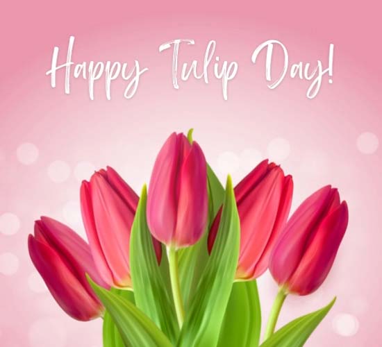 A Happy Tulip Day Ecard. Free Tulip Day eCards, Greeting Cards | 123 ...