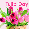 Sending Across Beautiful Tulips...