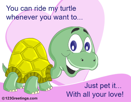Ride My Turtle...