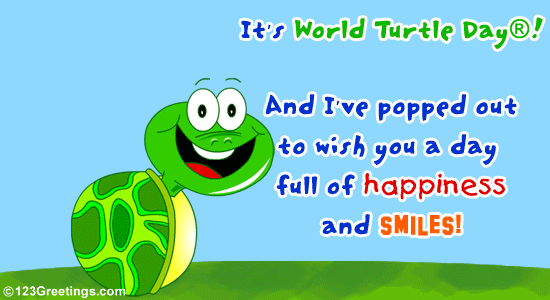 A Fun Wish On World Turtle Day®.