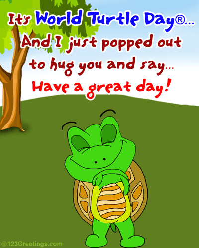 Cute Wish On World Turtle Day®.