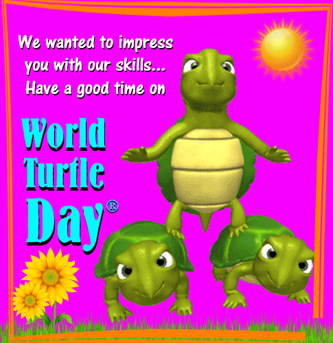 An Impressive Turtle Day Card For You.