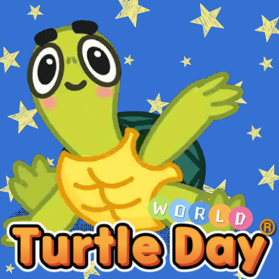 A Turtle Greeting For You.