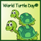 Have Fun On World Turtle Day%AE!