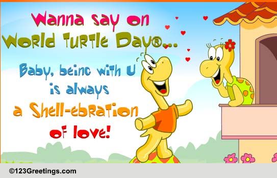 Send Love Wishes This Turtle Day!