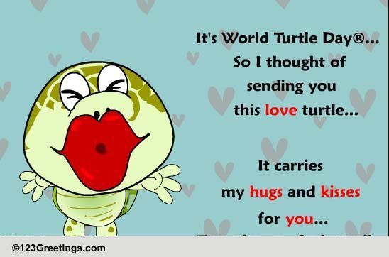 A Loving Ecard For Turtle Day!