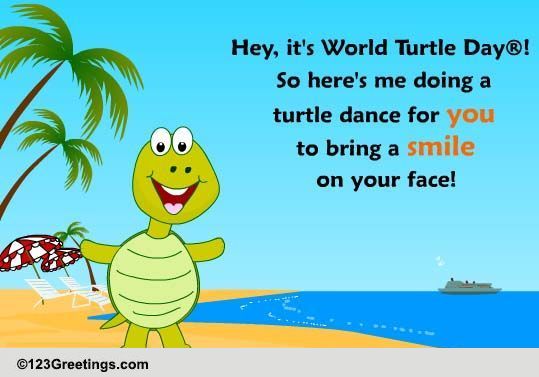 World Turtle Day Cards Free World Turtle Day Wishes 123 Greetings