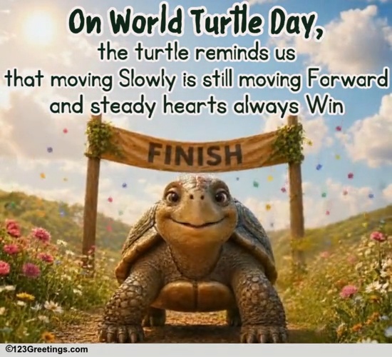 An Encouraging Ecard For Turtle Day