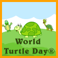 Send World Turtle Day Greetings!
